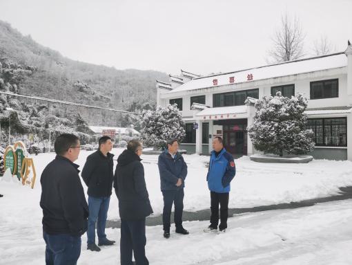 杨精明赴裕安区开展低温雨雪冰冻灾害防范应对专项检查