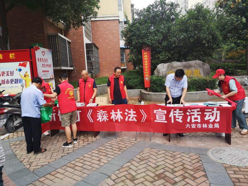 市林业局开展新《森林法》系列宣传活动