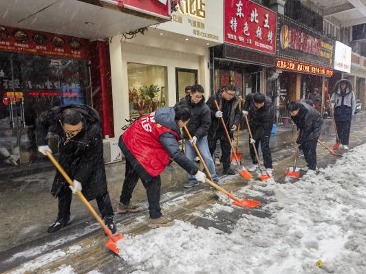 六安市林业局组织党员干部铲雪除冰