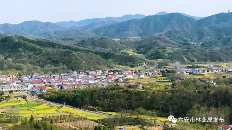 六安市“五火共治”筑牢森林防火安全网